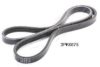 ASHIKA 112-3PK875 V-Ribbed Belts